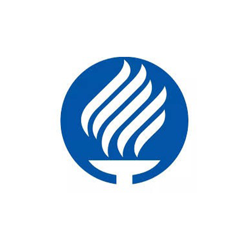 M 13